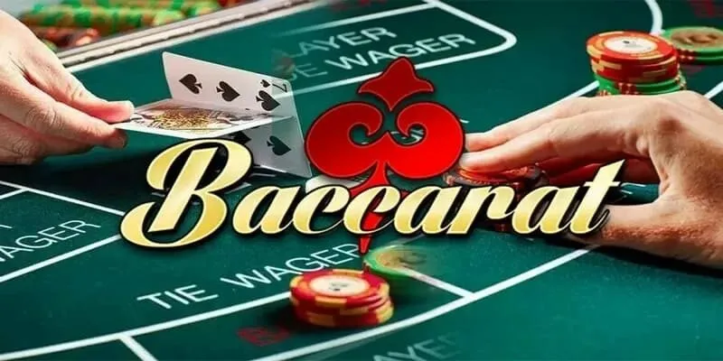 Cược baccarat giúp người mới dễ dàng tiếp cận với giao diện trực quan