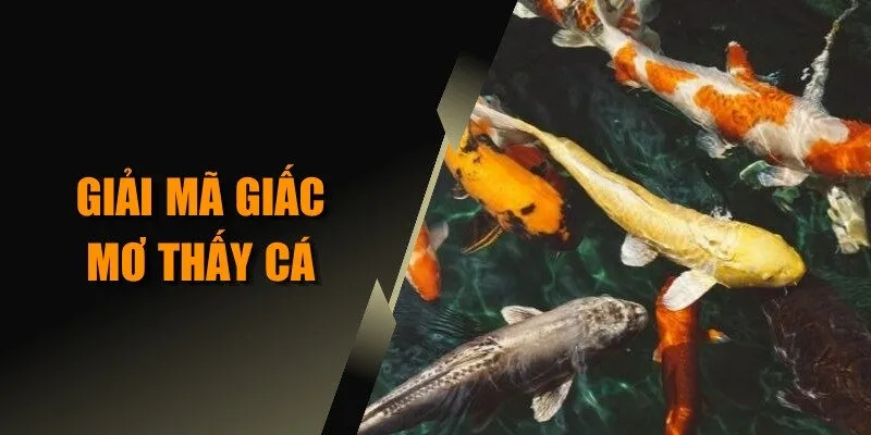 giải mã giấc mơ thấy cá